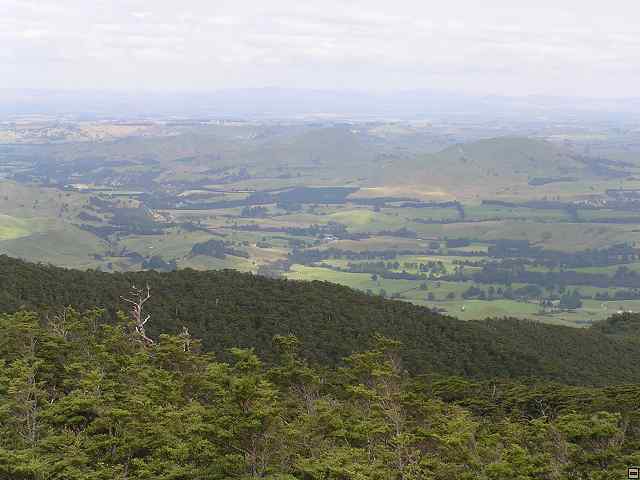 NZ leden-unor 2006 167.jpg